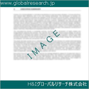 グローバルリサーチ調査資料のイメージ